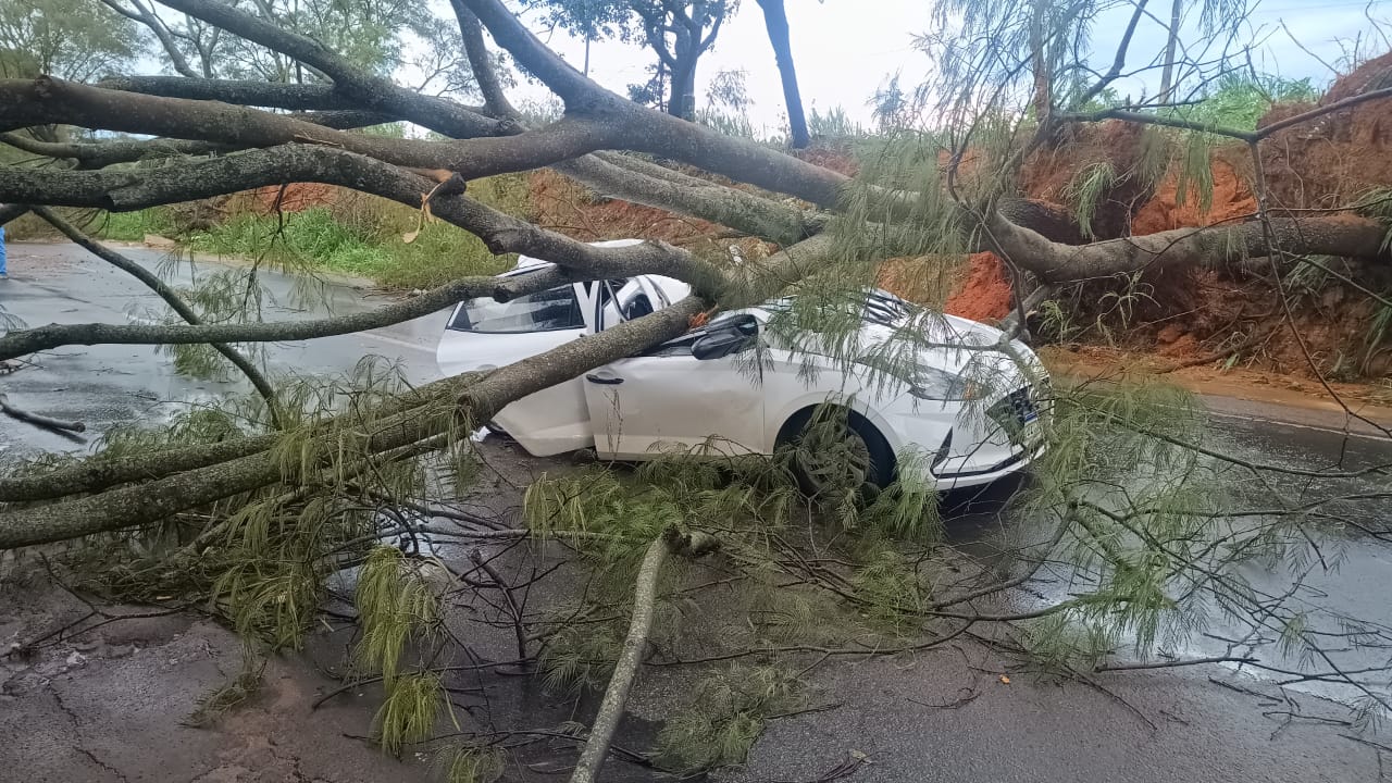 Árvore cai sobre carro durante chuva na MG-230 e deixa motorista ferido em Patrocínio
