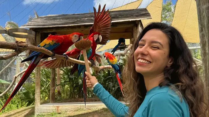 bianca witzel posa com araras