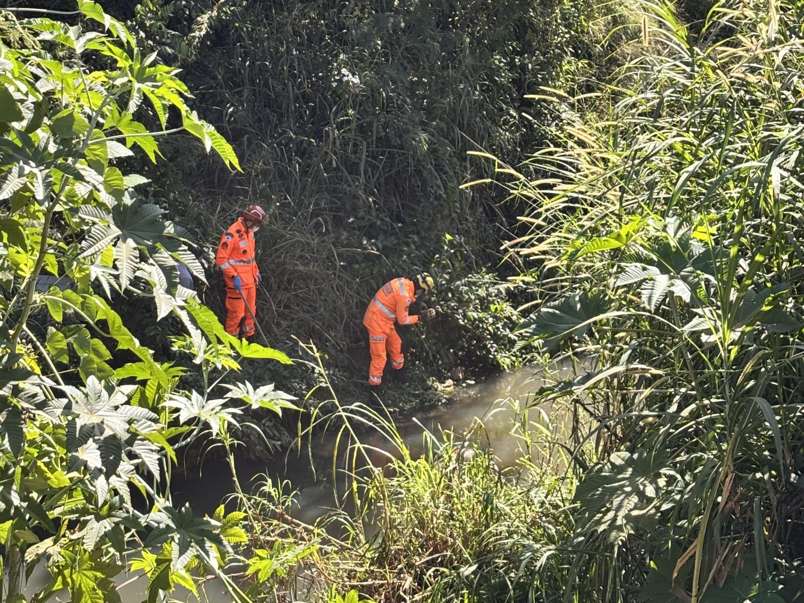 Corpo de mulher que estava desaparecida há cinco dias é encontrado em córrego de Monte Carmelo