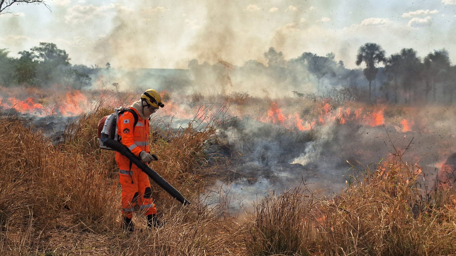 Em apenas algumas horas, queimadas consomem 29 hectares de vegetação e 5 mil litros de água em Uberlândia