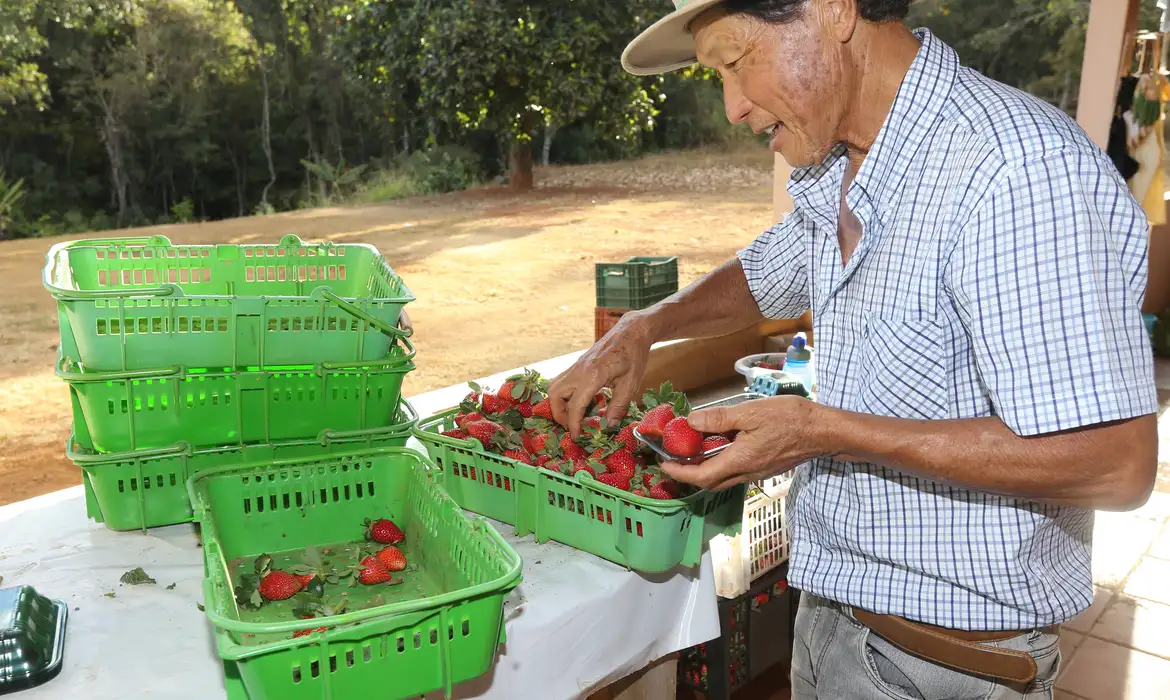 Finep vai pagar R$ 220 milhões para inovações em agricultura familiar