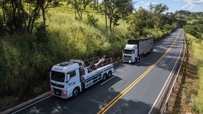 rodovia br 365