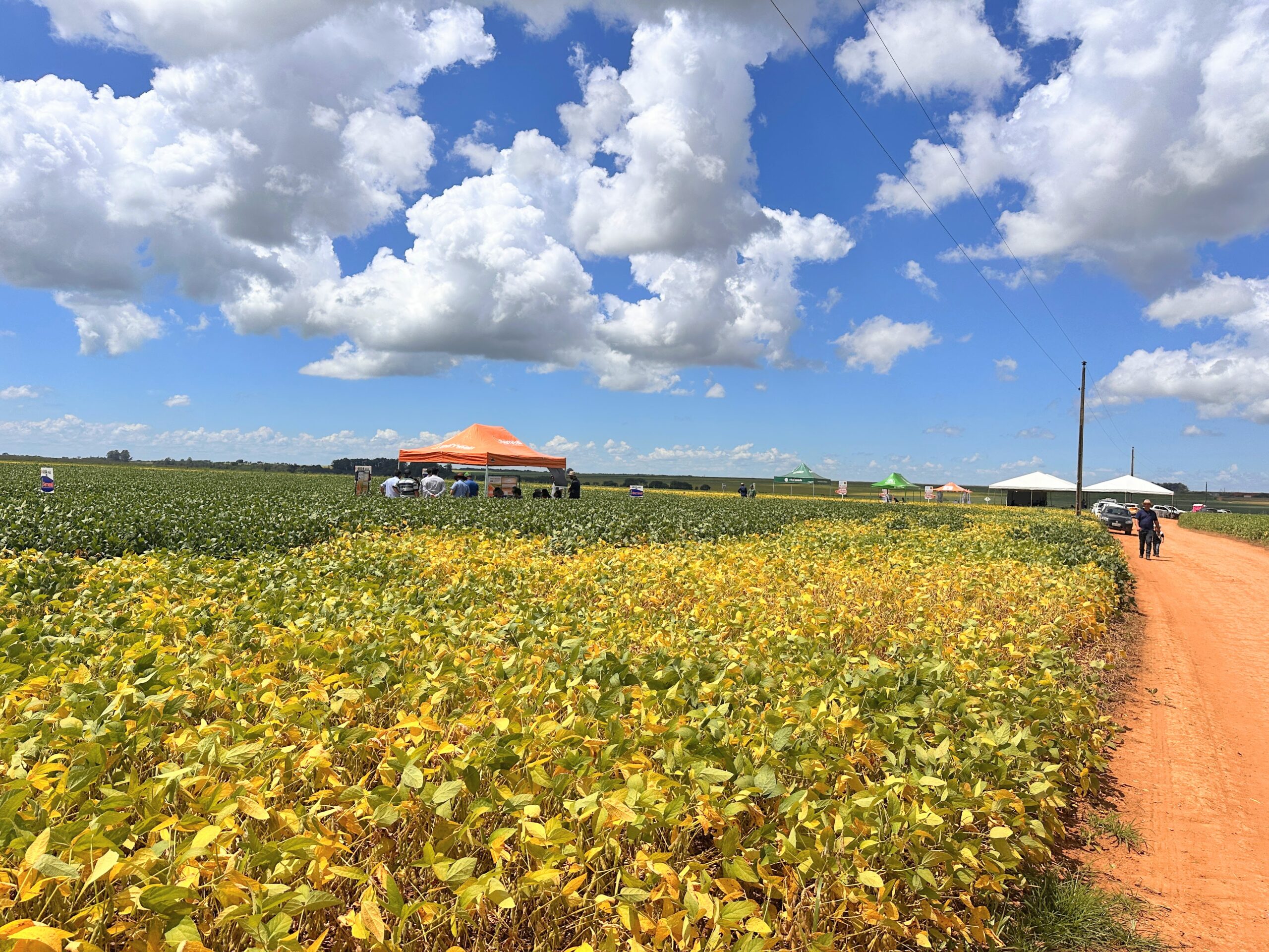 Iraí de Minas recebe II Dia de Campo de Soja com foco em tecnologia e produtividade