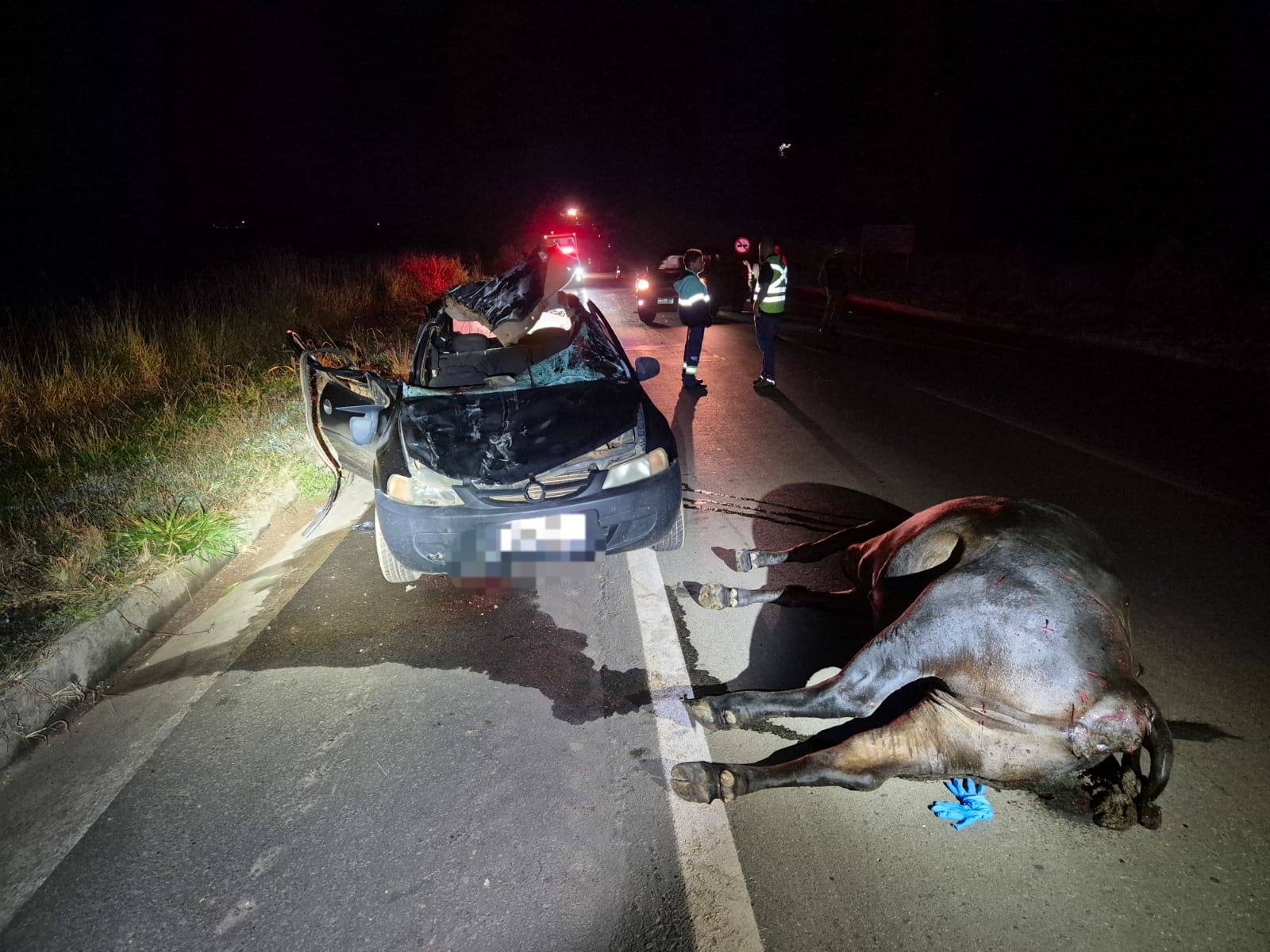 Jovem morre após veículo atropelar boi solto na MGC-462, em Patrocínio