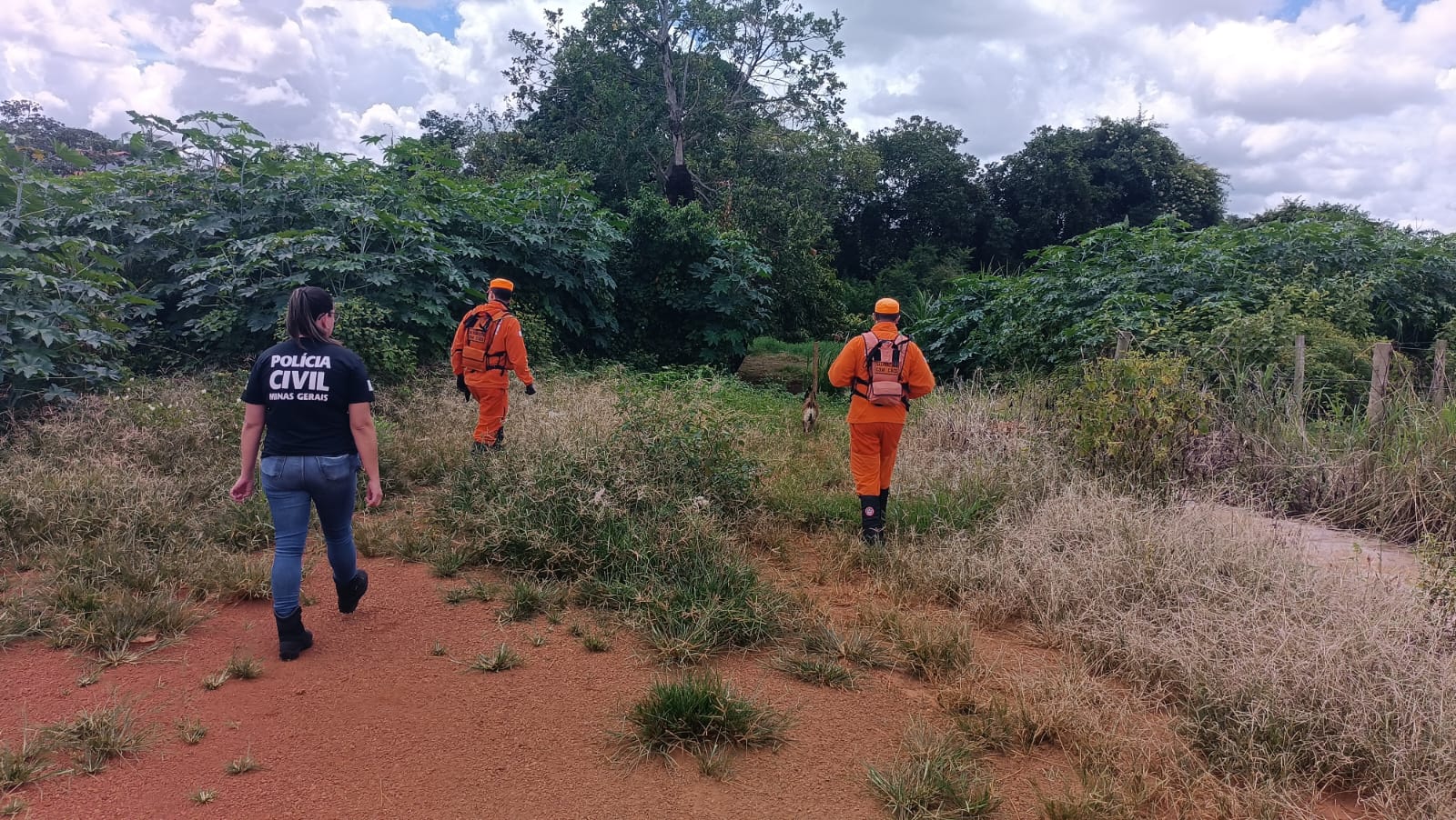 Polícia Civil utiliza cães farejadores em busca por homem desaparecido em Monte Carmelo