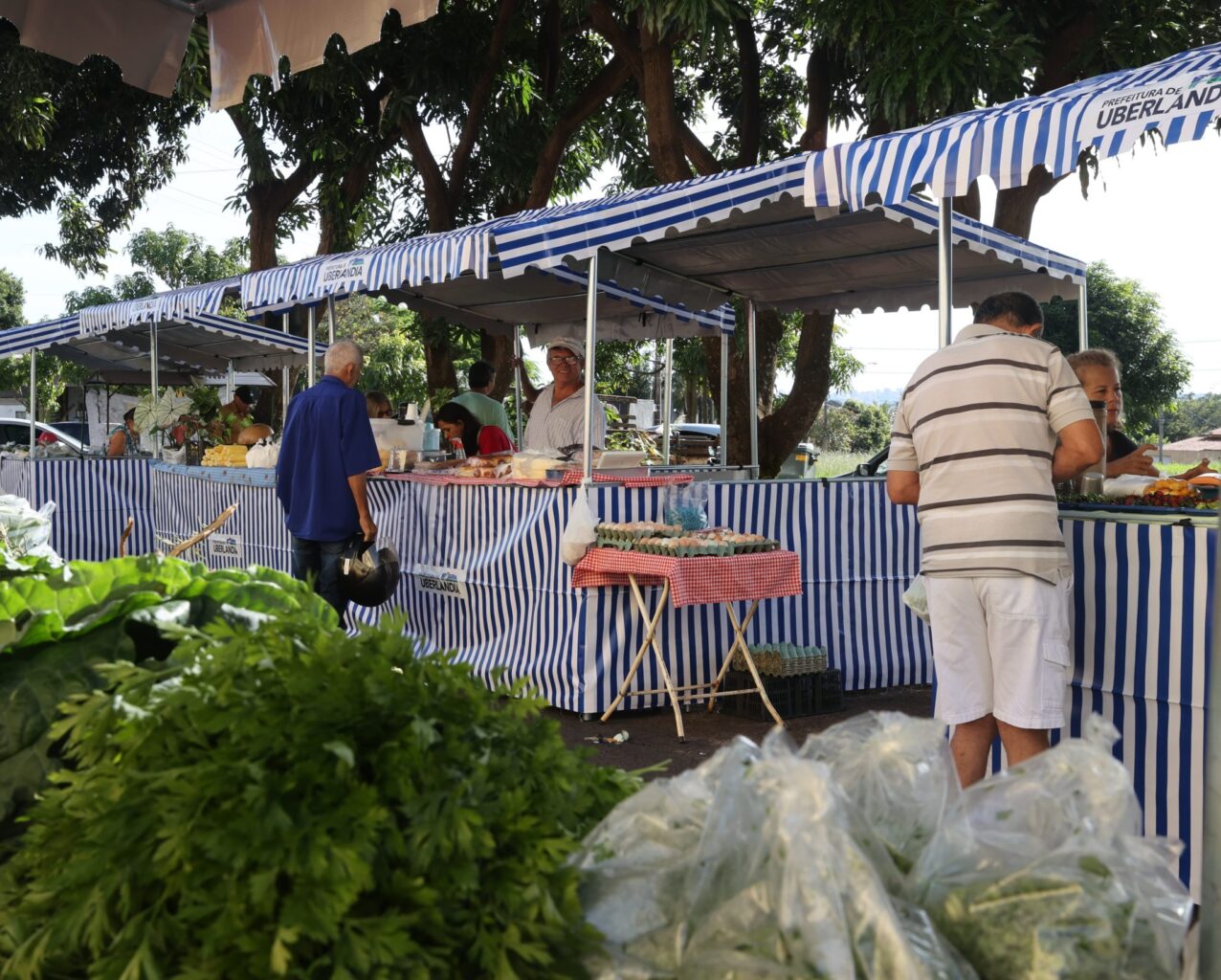 feira livre em uberlândia mg