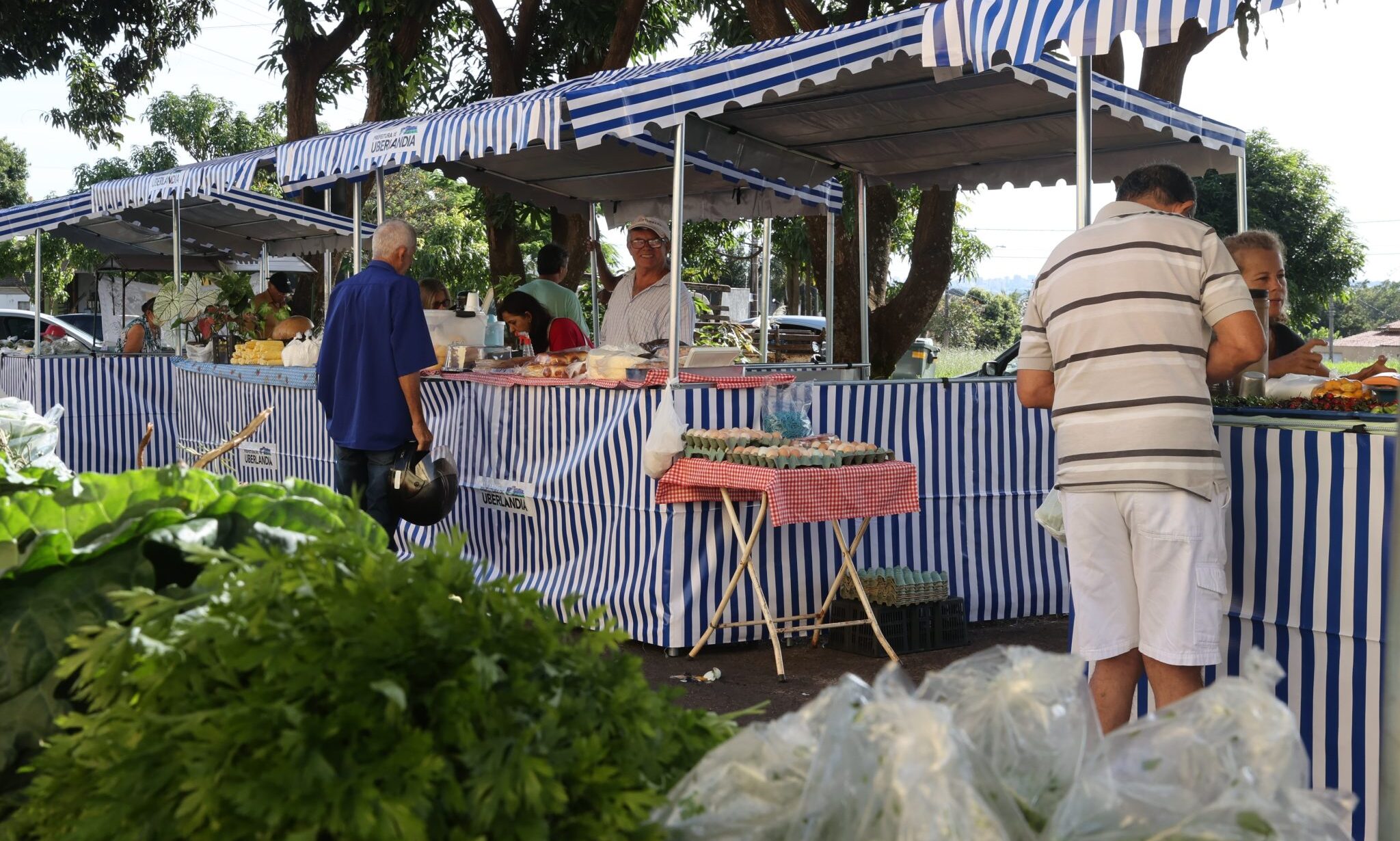 feira livre em uberlândia mg