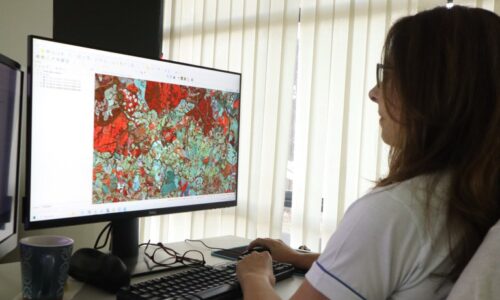 PRODES será utilizado na análise de crédito rural